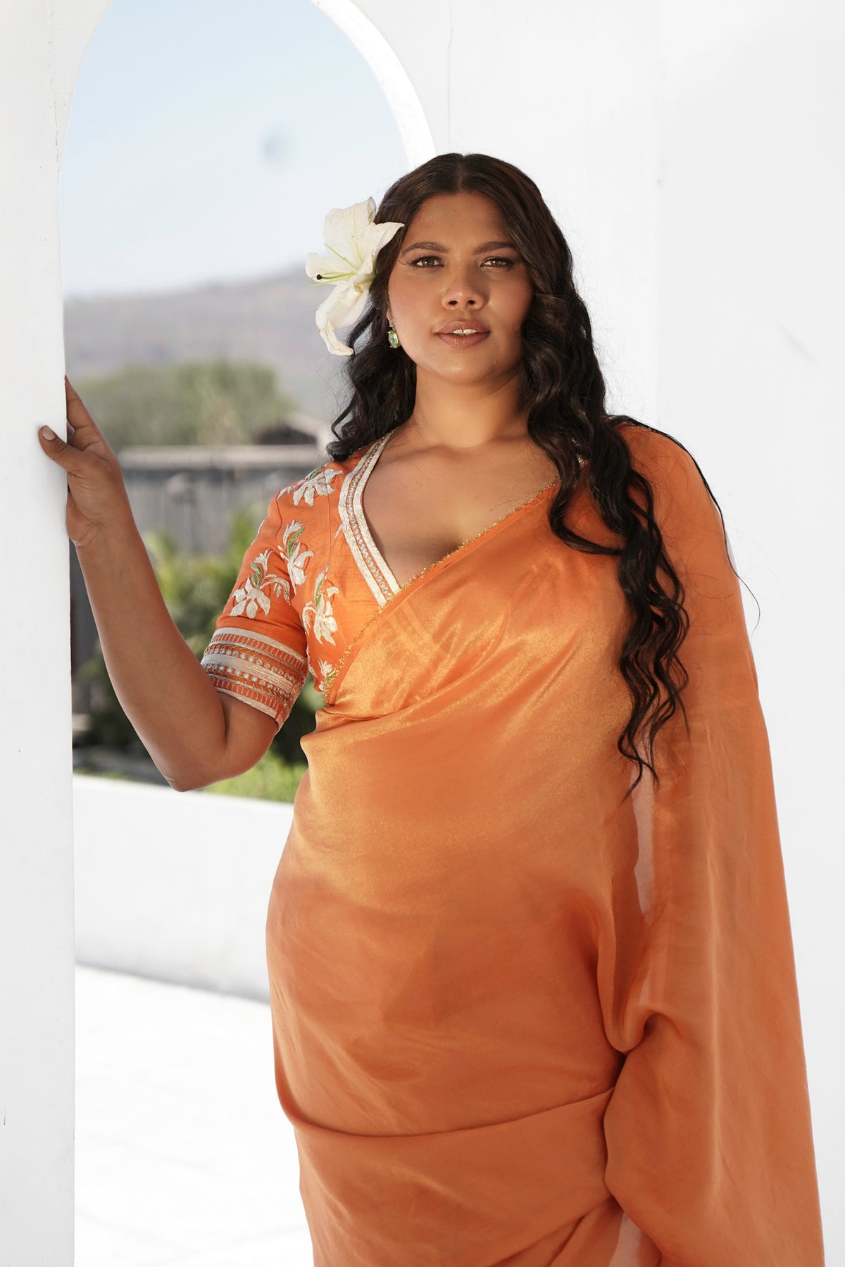 Naarangi Tissue Silk Saree